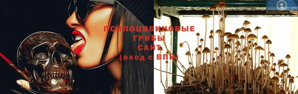 прущая мука Армянск