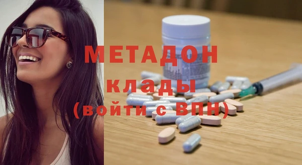 прущие грибы Арсеньев