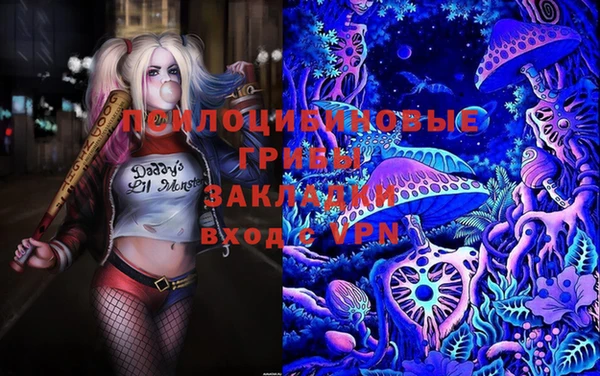 мяу мяу мука Алексеевка