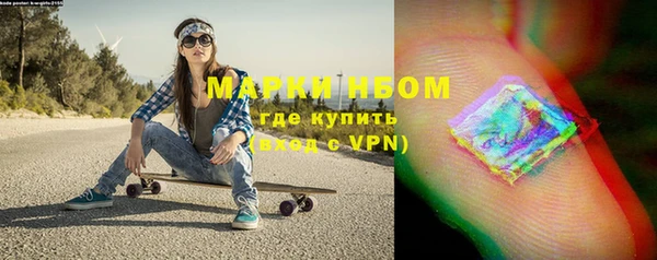 прущие грибы Арсеньев