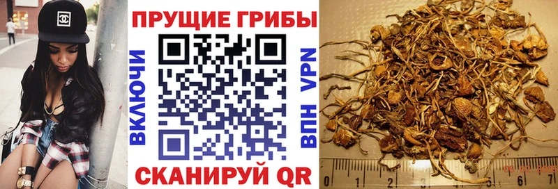 Галлюциногенные грибы GOLDEN TEACHER где можно купить наркотик Малоархангельск